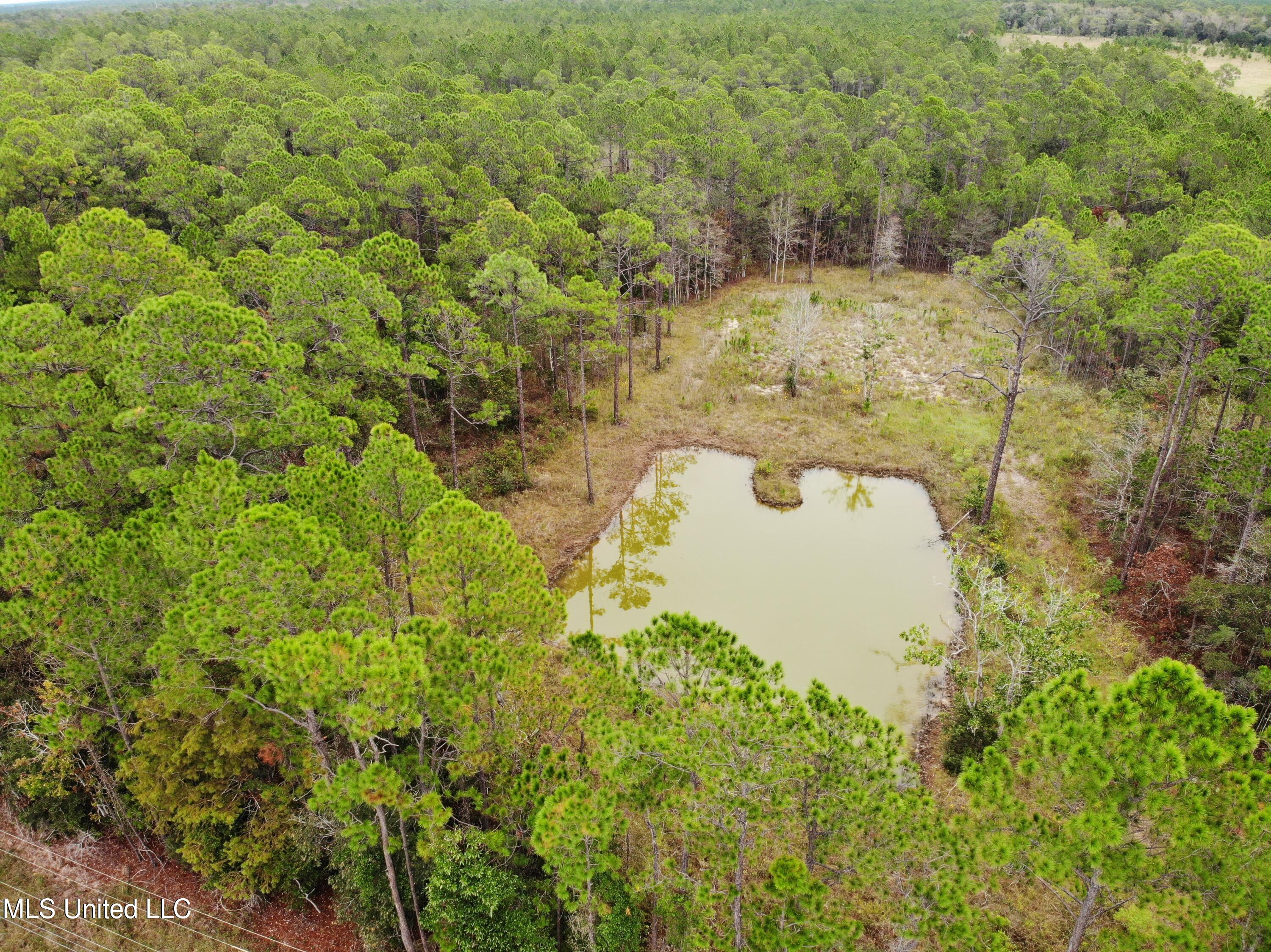 Tbd Lakeshore Road Bay St. Louis, MS 39520 - Photo 1 of 6 org_ec9a1e746e6f0600_1697128546000
