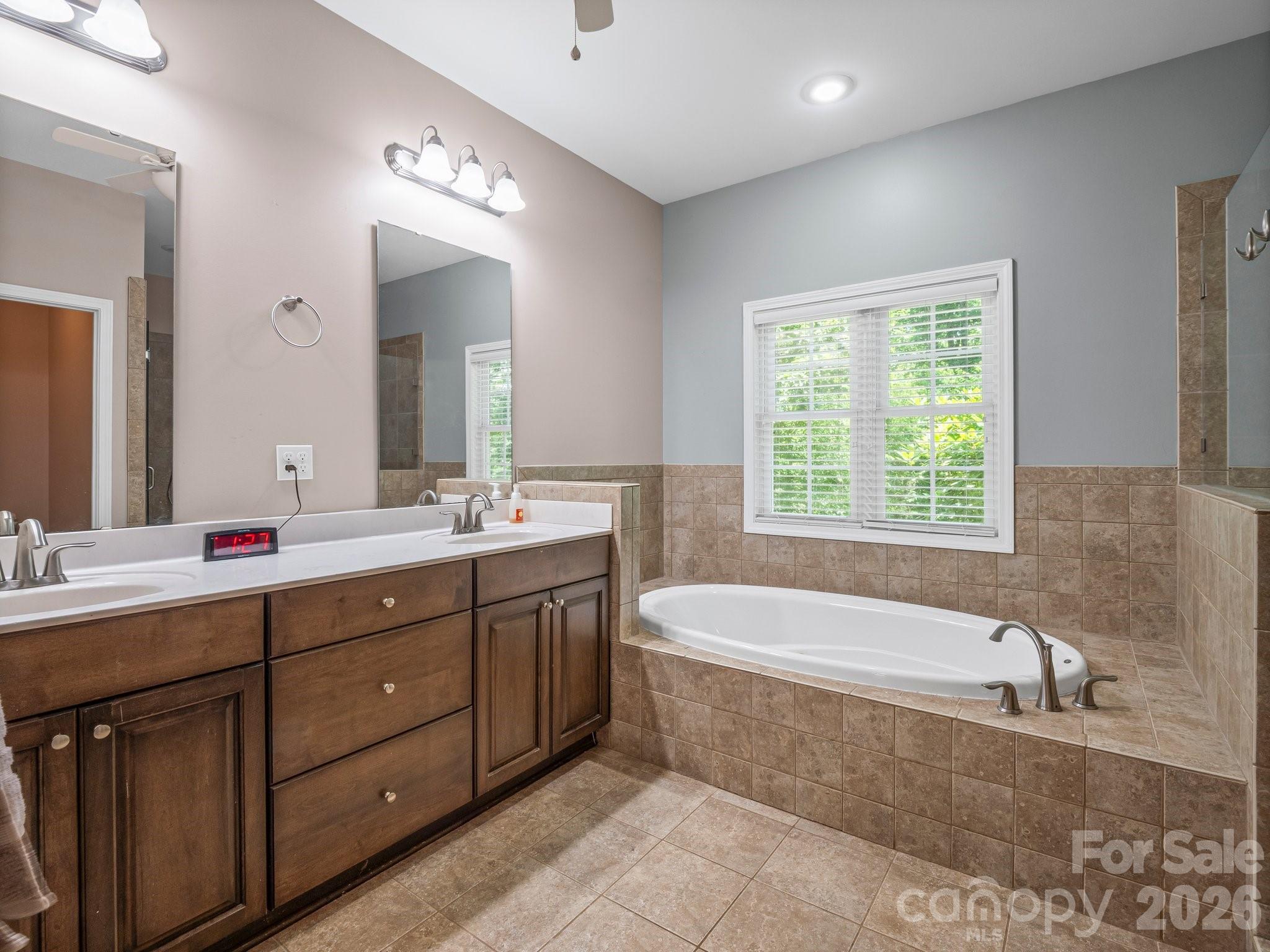 217 Blossom Hill Road Lincolnton, NC 28092 - Photo 30 of 44 a bathroom with a tub a sink double vanity and a mirror