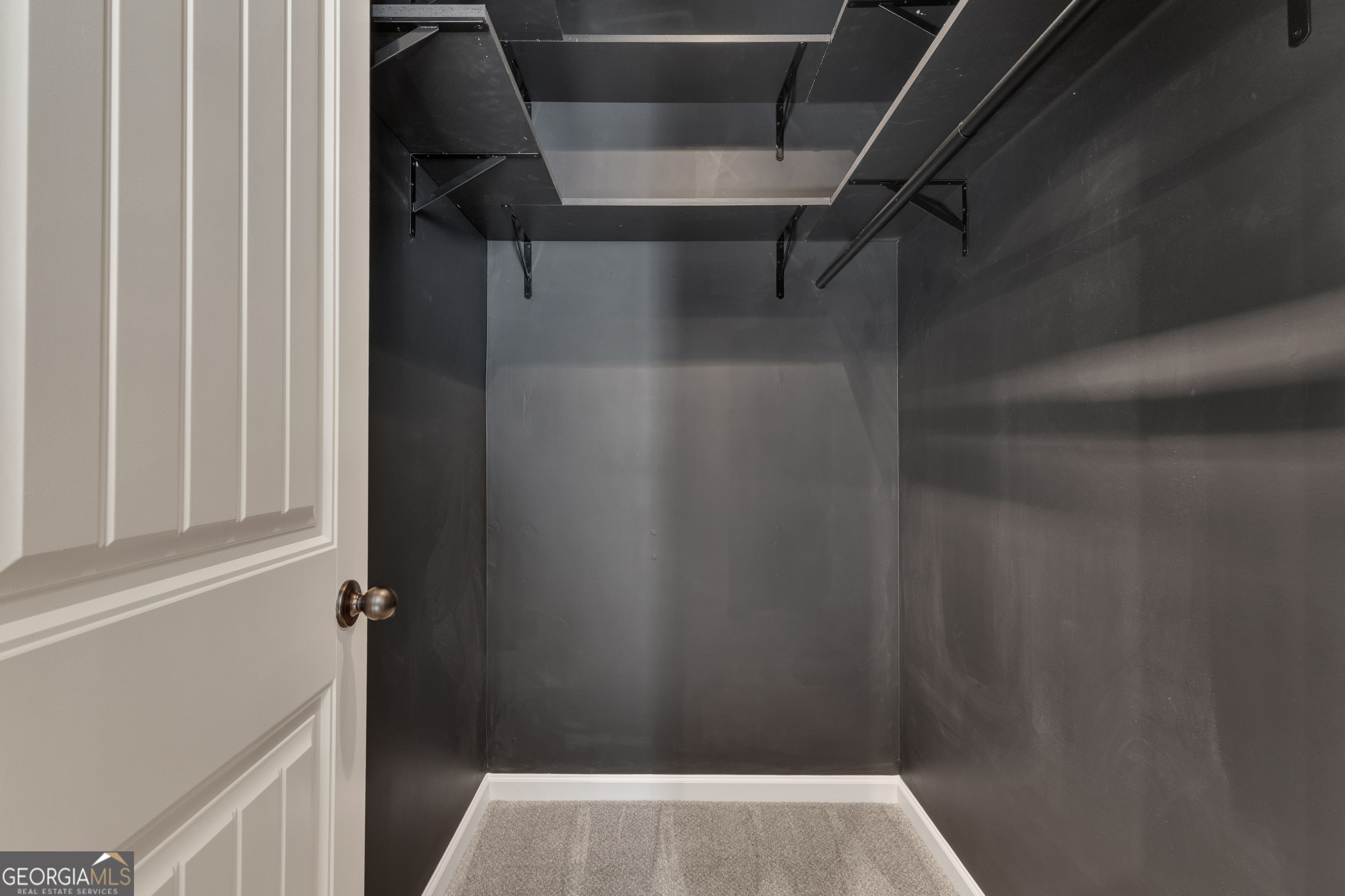 50 Cushing Street Senoia, GA 30276 - Photo 39 of 72 a view of walk in closet