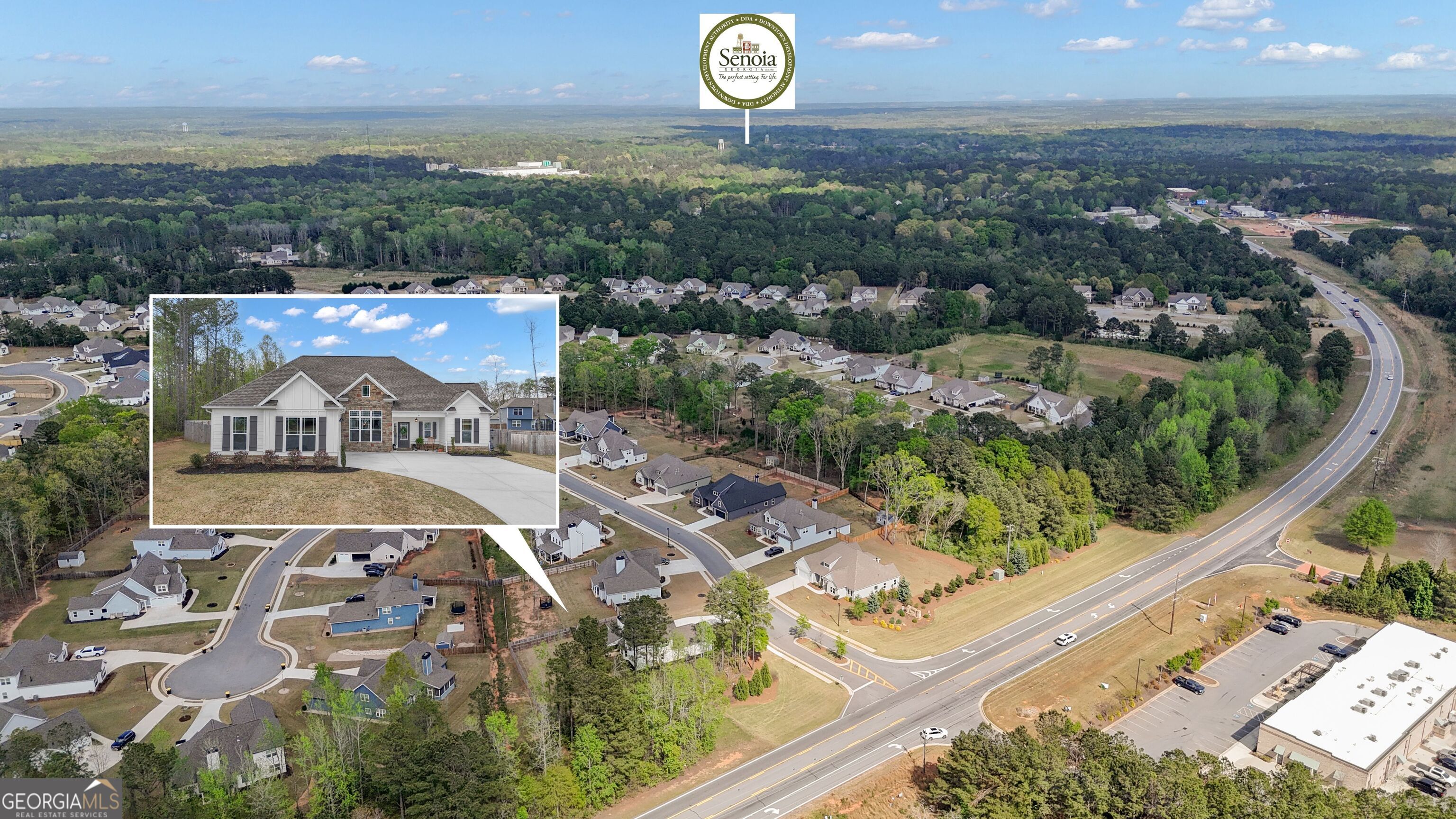 50 Cushing Street Senoia, GA 30276 - Photo 62 of 72 an aerial view of a house