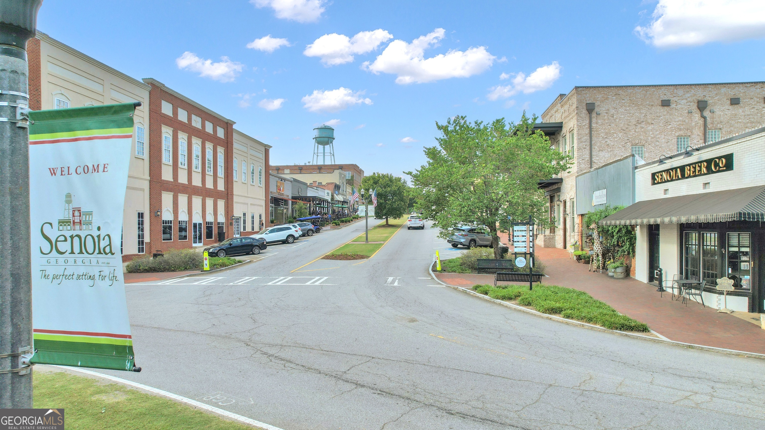 50 Cushing Street Senoia, GA 30276 - Photo 68 of 72