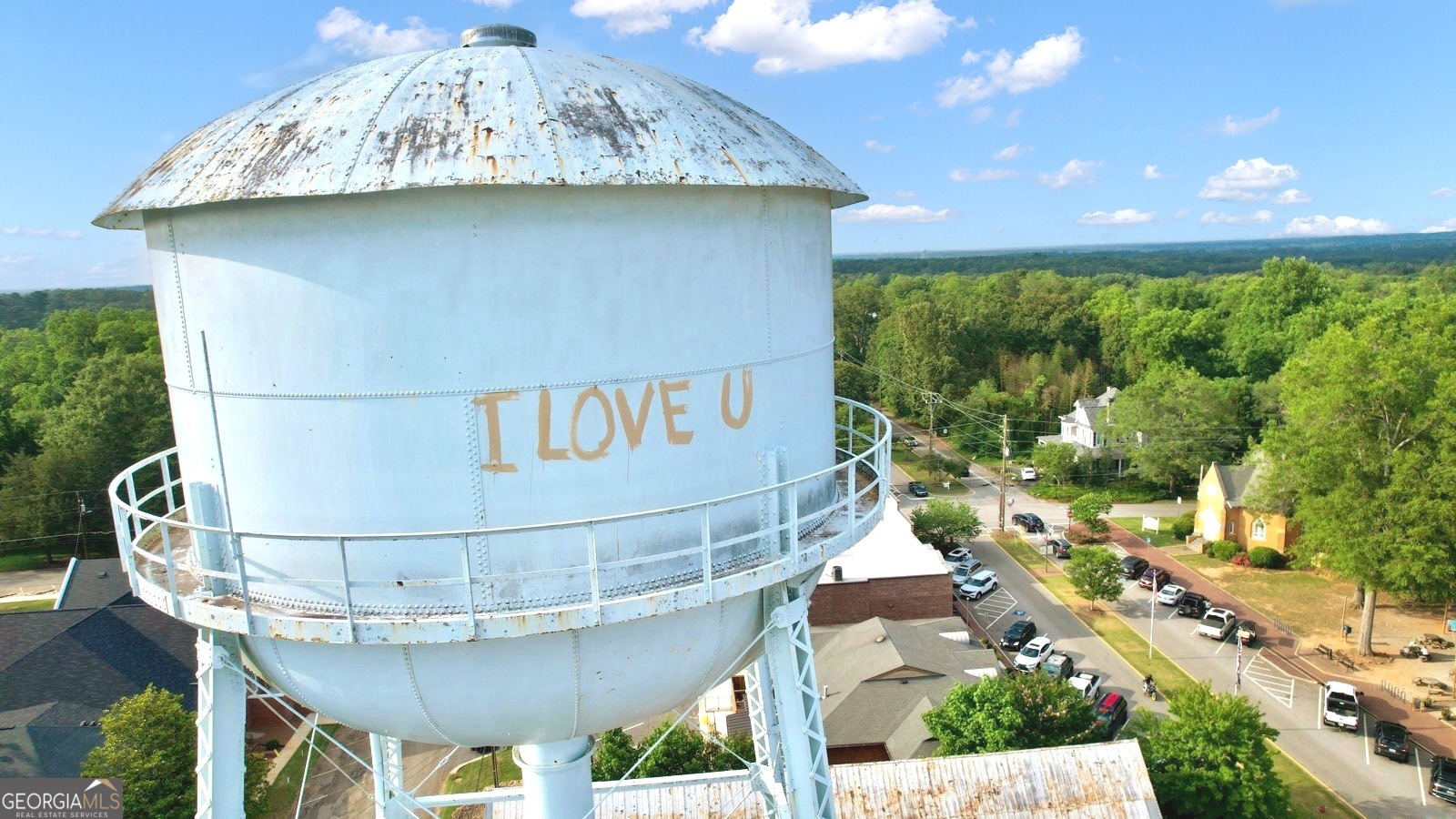 50 Cushing Street Senoia, GA 30276 - Photo 72 of 72 a front view of a house with garden