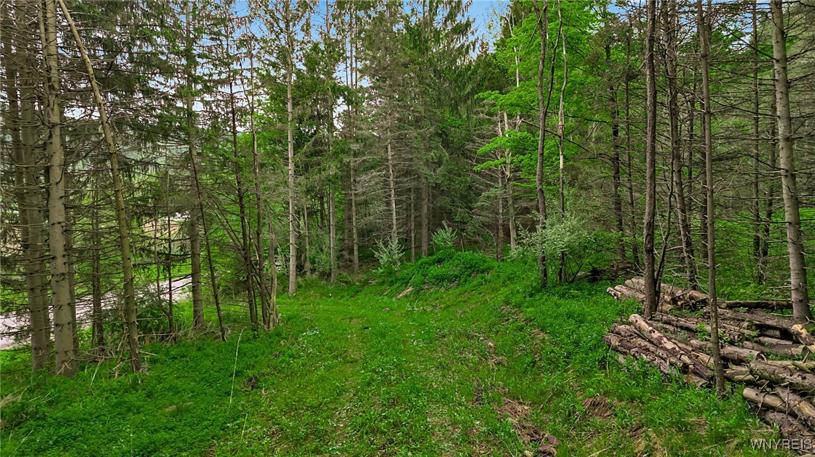 Vl Maples Road Little Valley, NY 14755 - Photo 5 of 12