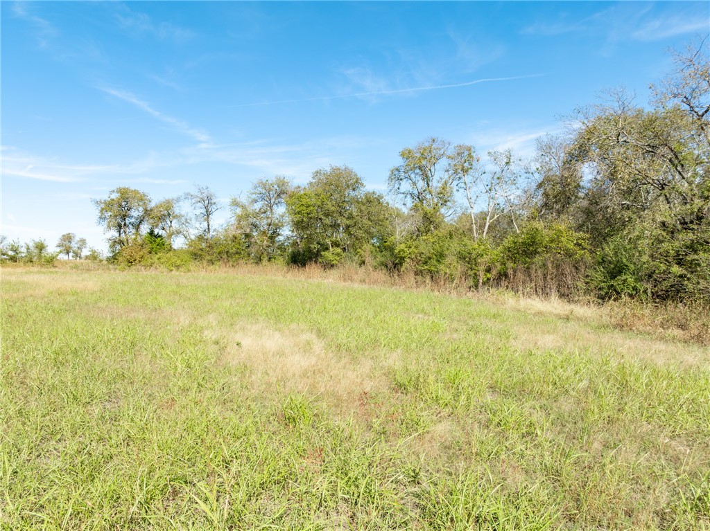 Tbd Tbd Main Street South Covington, TX 76636 - Photo 11 of 26 a view of an ocean from a yard