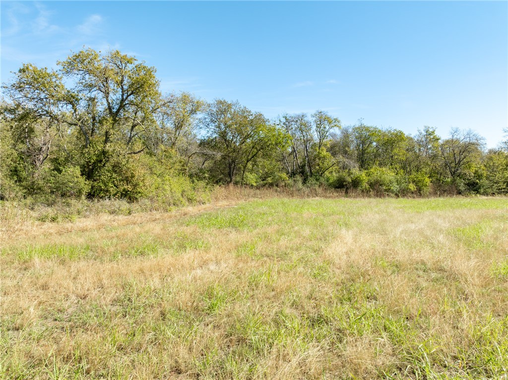 Tbd Tbd Main Street South Covington, TX 76636 - Photo 13 of 26 a view of a yard with a tree
