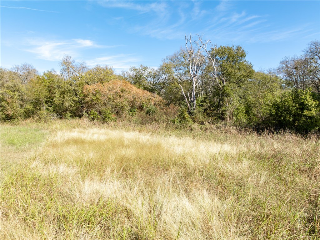 Tbd Tbd Main Street South Covington, TX 76636 - Photo 8 of 26 a view of lake with green space