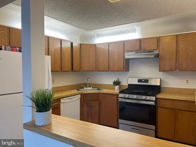 a kitchen with a potted plant on the counter and cabinets