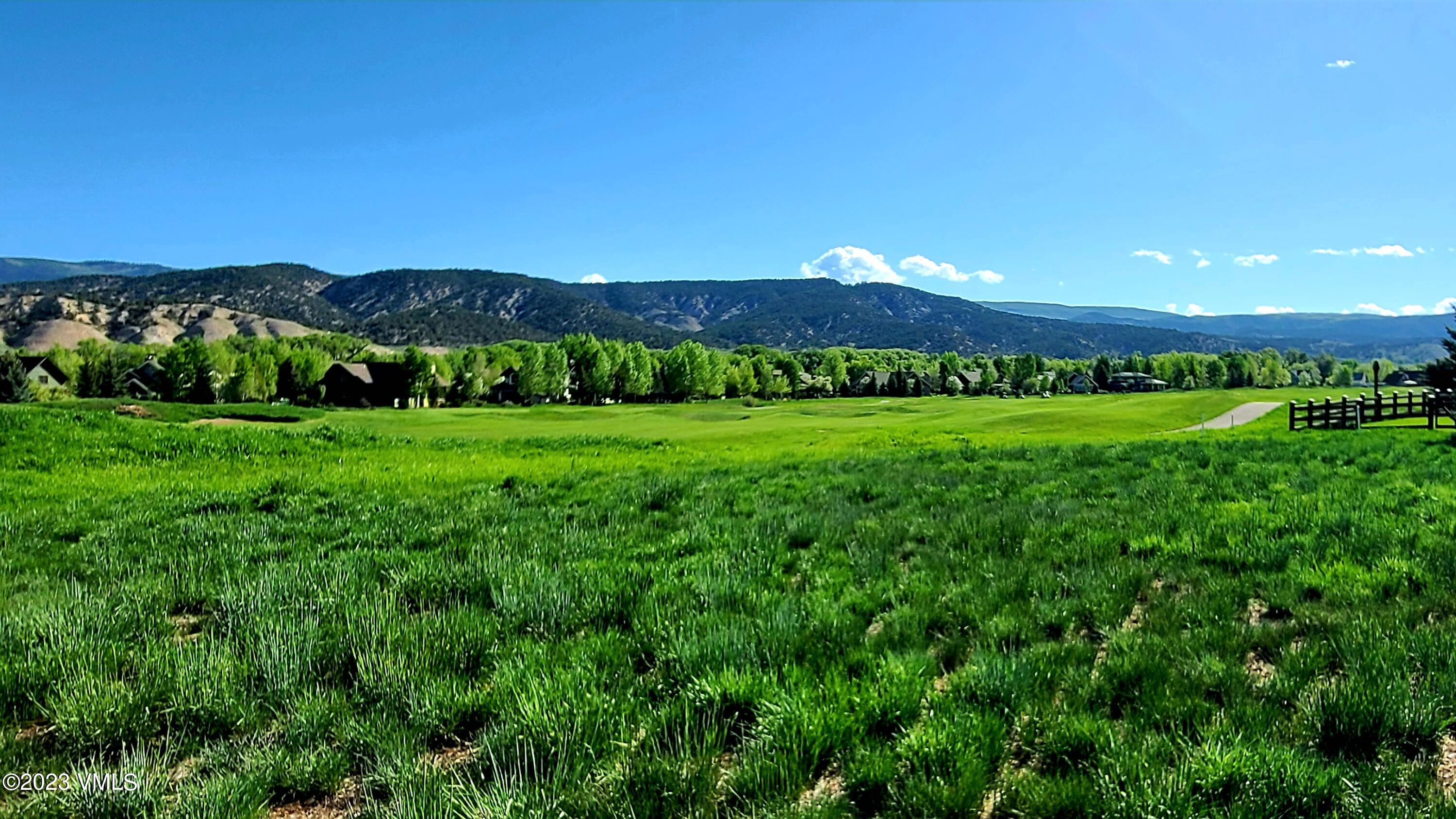 85 East Haystacker Drive Eagle, CO 81631 - Photo 2 of 13 a view of a big yard with a large tree and a lots of plants