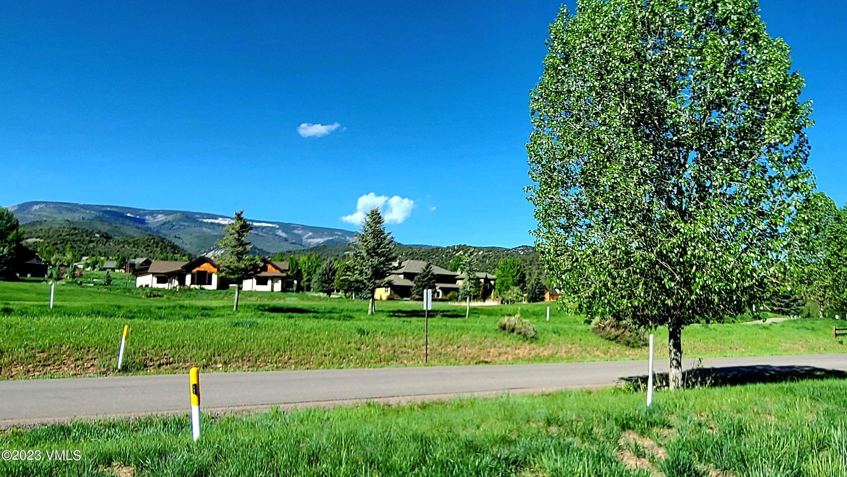 85 East Haystacker Drive Eagle, CO 81631 - Photo 4 of 13 a view of a garden with plants and large trees