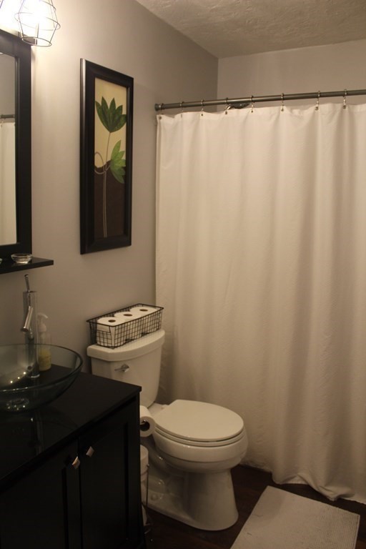 1195 Grafton Street, Unit 12 Worcester, MA 01604 - Photo 9 of 17 a bathroom with a sink and a toilet