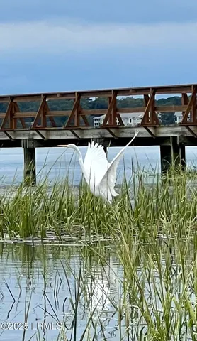 $89,000 | 324 De La Gaye Point, Beaufort, SC 29902