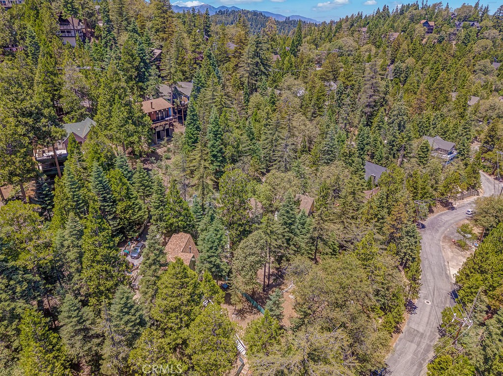 318 Old Toll Road Lake Arrowhead, CA 92352 - Photo 41 of 44 a backyard of a house with lots of green space