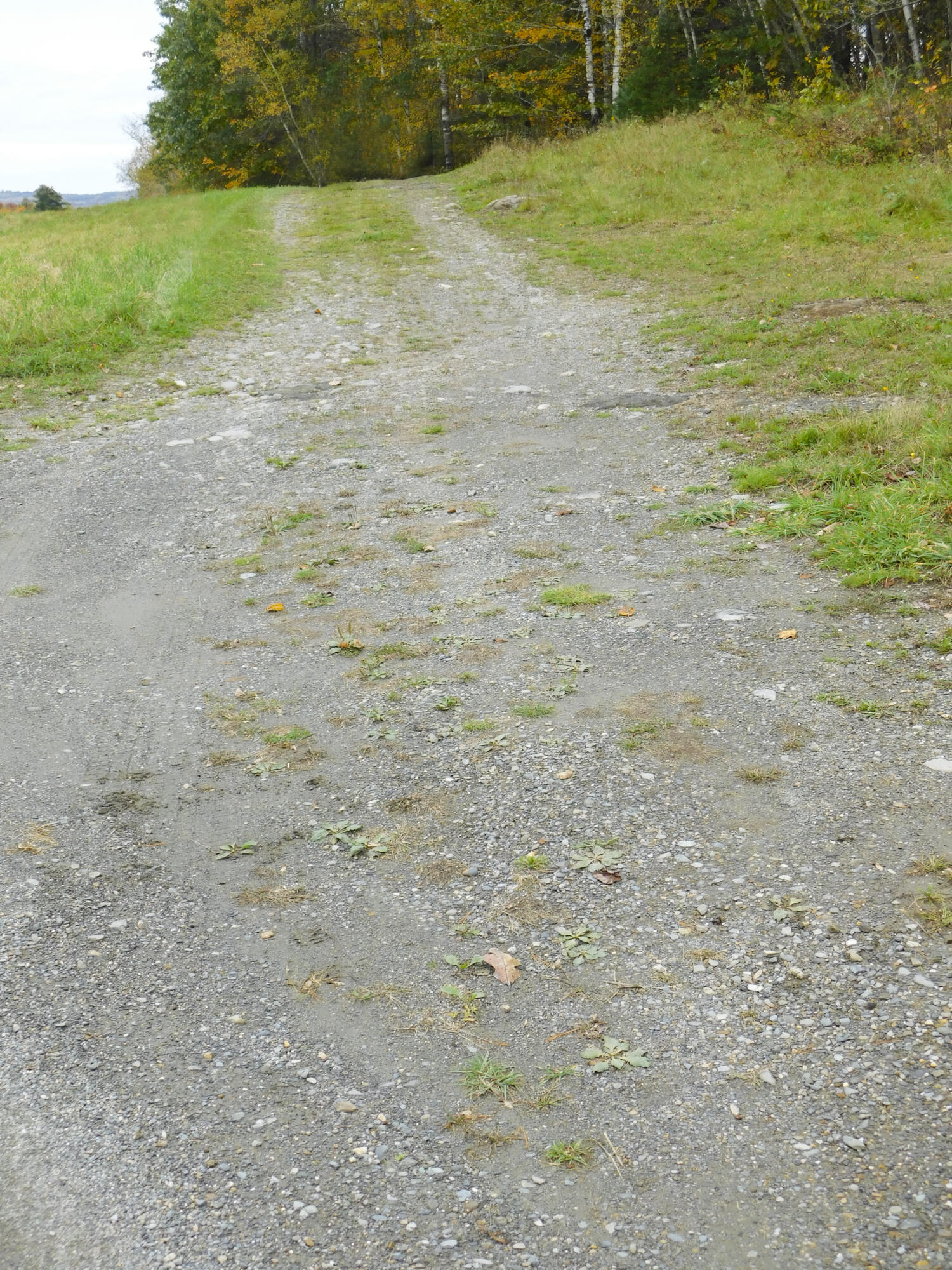 Lot #40-1 Lot#40-1 Map Road, Unit 1 Ripley, ME 04930 - Photo 2 of 27 Road ROW to land