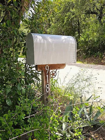 a view of a tree with plants