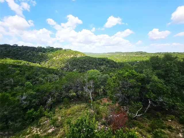 a view of a city with lush green forest