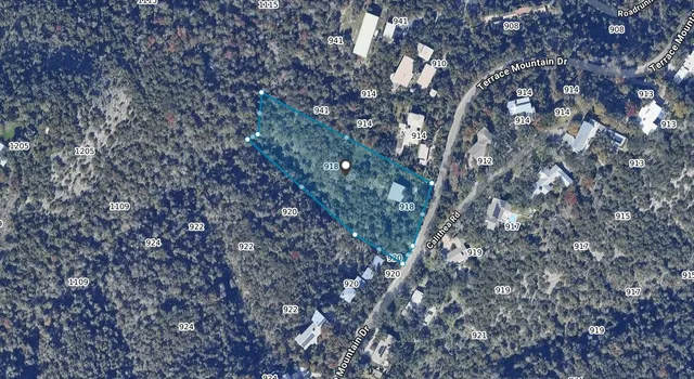 a view of a tree in a yard