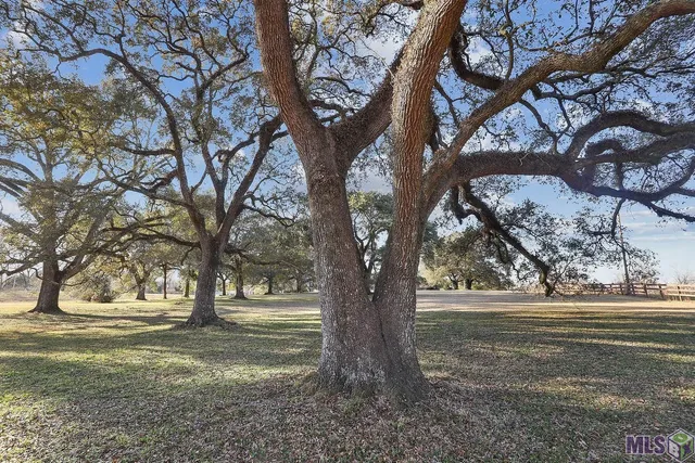 $3,000,000 | 7520 Highway 61, St. Francisville, LA 70775