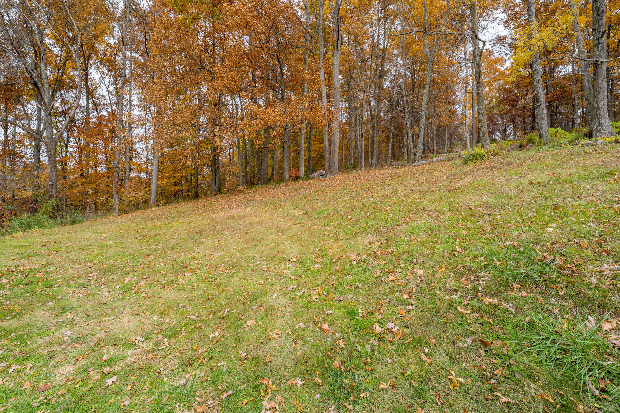 142 Hunt Road Jonesborough, TN 37659 - Photo 30 of 38 142 Hunt Rd (27 of 58)