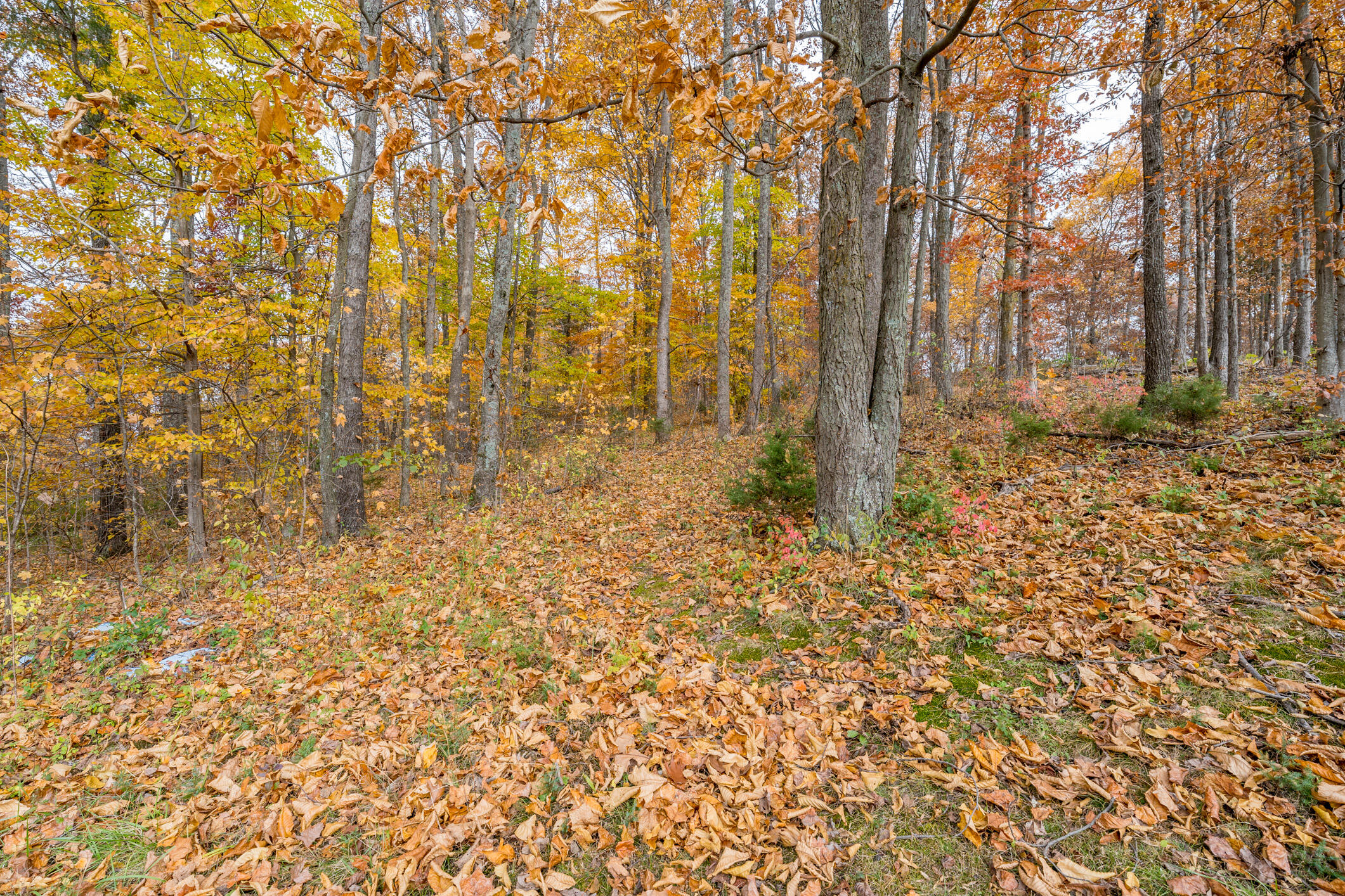 142 Hunt Road Jonesborough, TN 37659 - Photo 31 of 38 142 Hunt Rd (33 of 58)