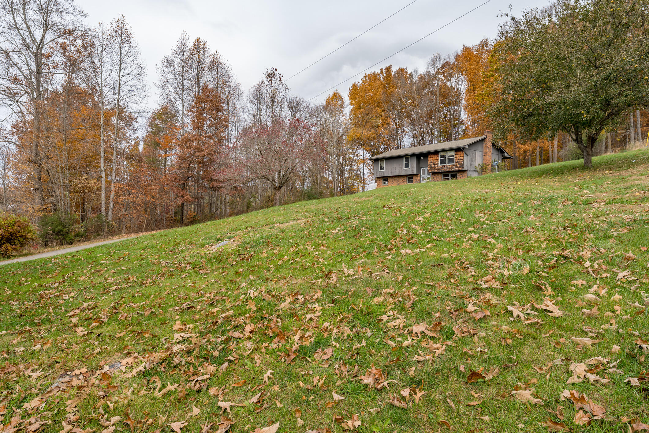 142 Hunt Road Jonesborough, TN 37659 - Photo 35 of 38 142 Hunt Rd (16 of 58)