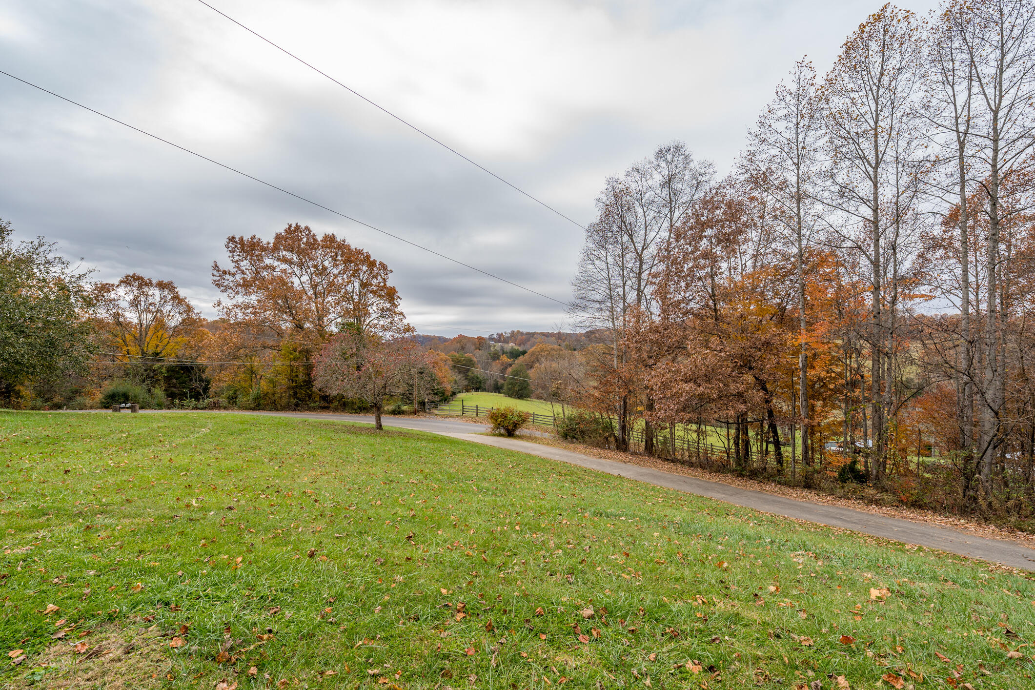 142 Hunt Road Jonesborough, TN 37659 - Photo 5 of 38 142 Hunt Rd (25 of 58)