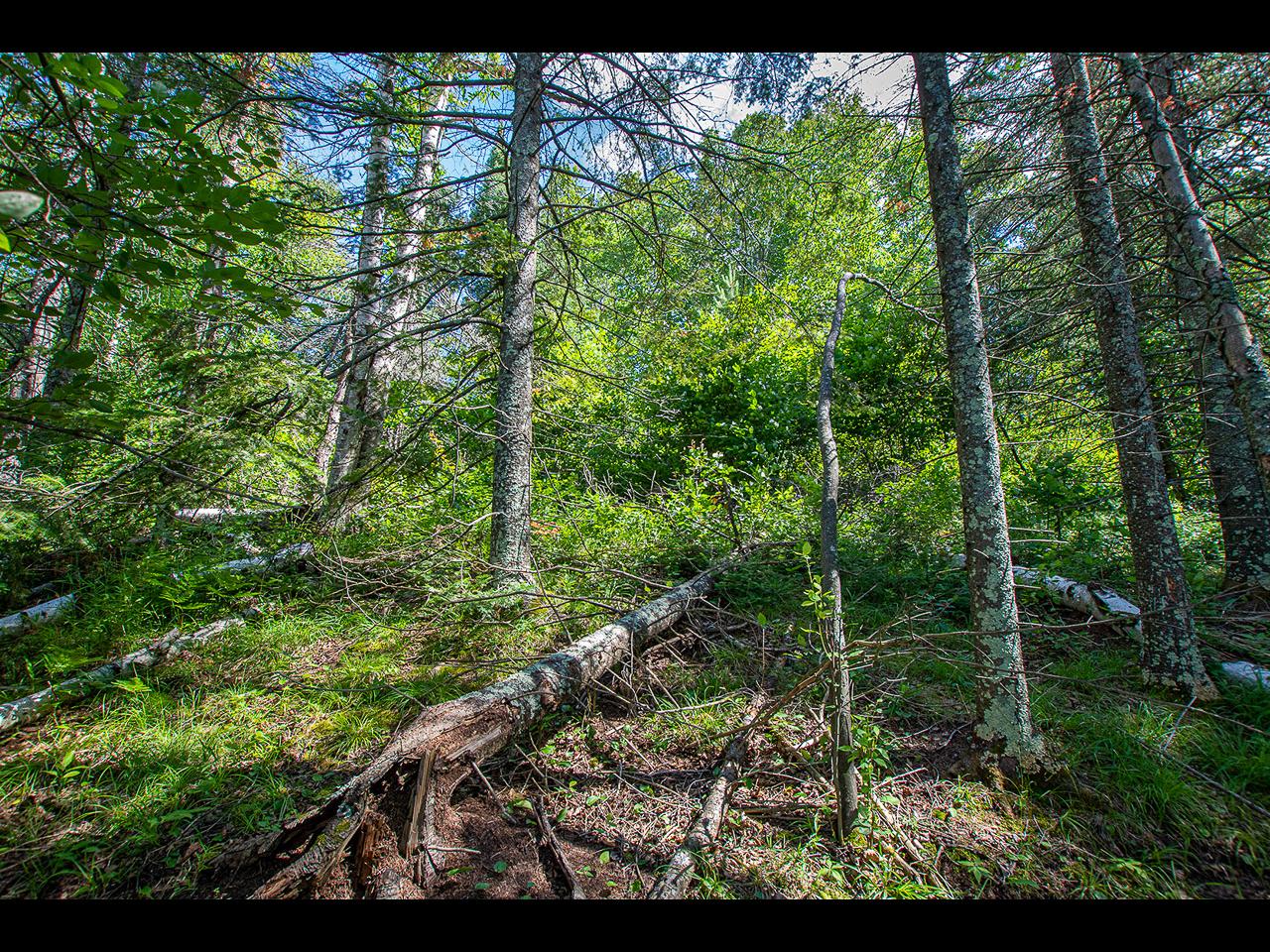 Lot 47 Frontier Road Presque Isle, WI 54557 - Photo 10 of 14 Gallery Image 10
