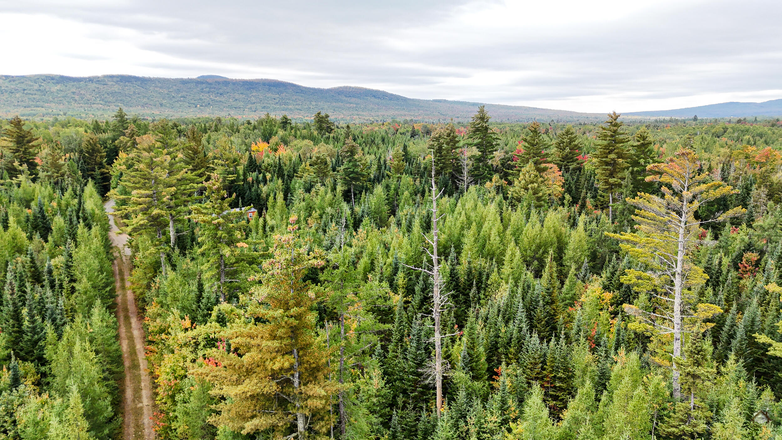 Lot F Lot F Stephensons Road Stratton, ME 04982 - Photo 25 of 25 324-DP-101