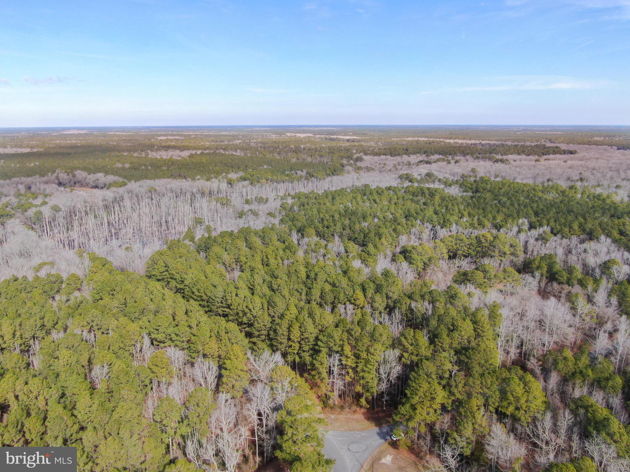 4 Sand Road Snow Hill, MD 21863 - Photo 4 of 5 an aerial view of residential building and green space