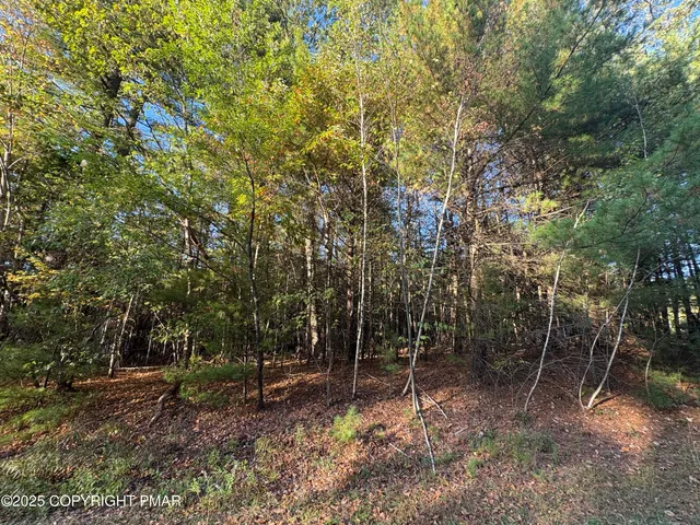 $45,000 | Lot 13 Pine Tree Lane, Kunkletown, PA 18058