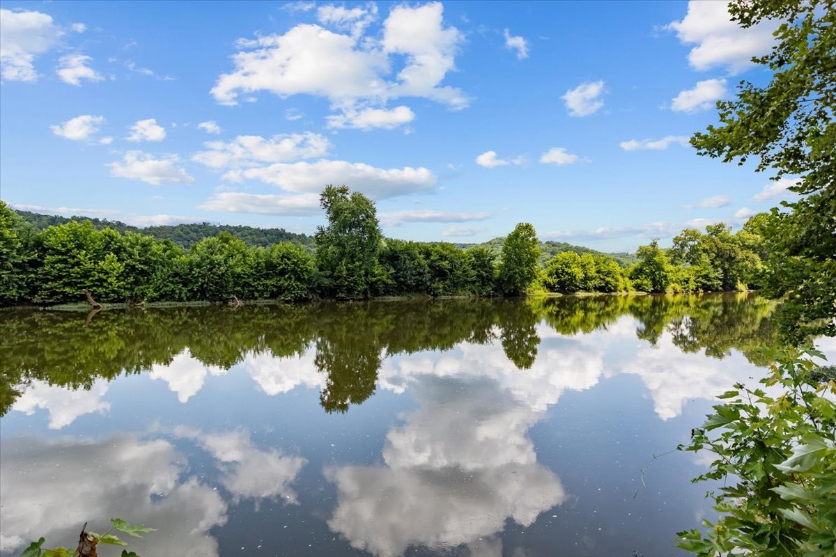 4060 Dyer Road Hurricane Mills, TN 37078 - Photo 85 of 100 Gallery Image 85
