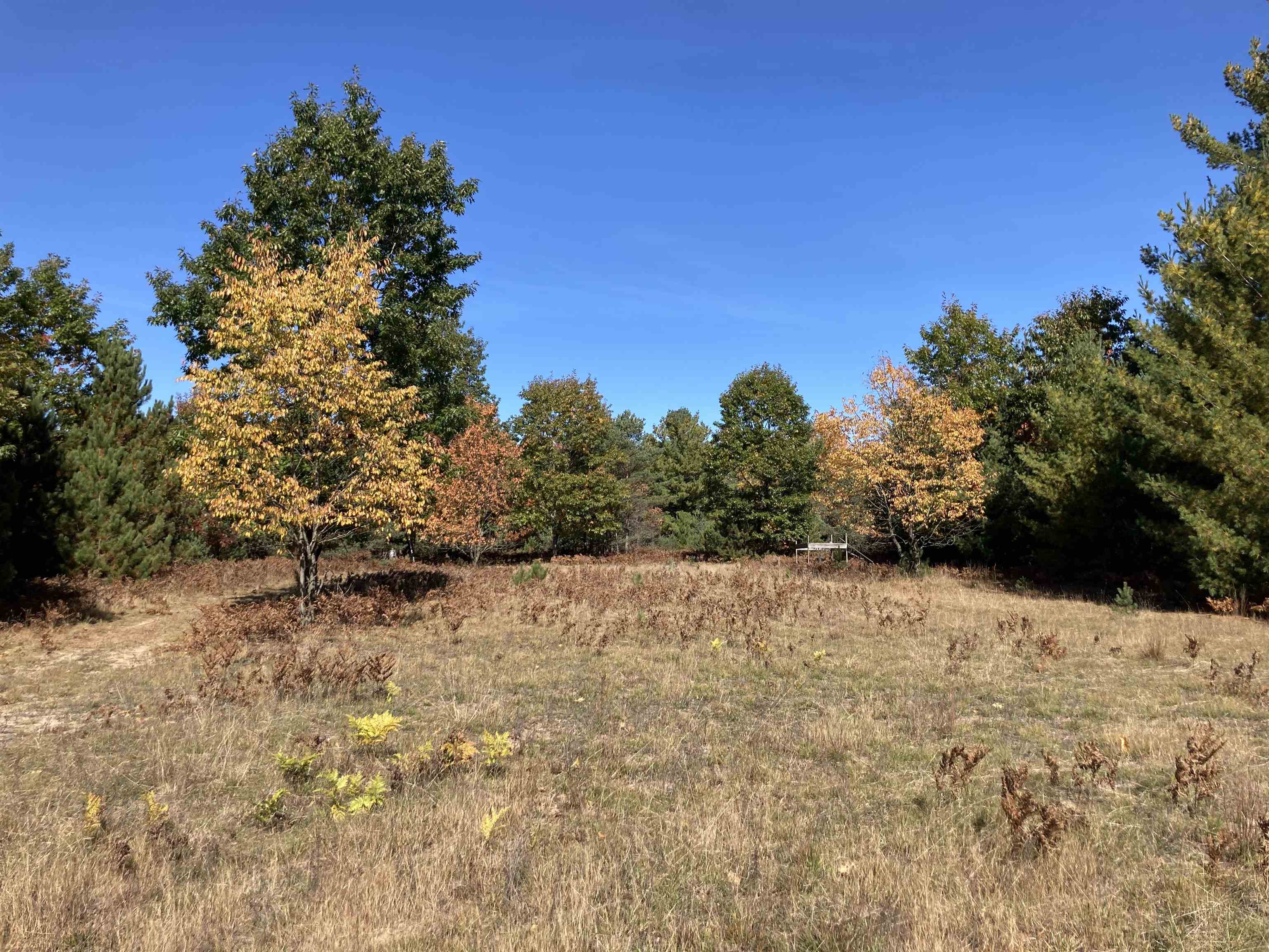 Nimrod Road Traverse City, MI 49685 - Photo 2 of 14