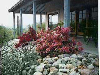 921 East Chula Vista Road Tucson, AZ 85718 - Photo 3 of 6