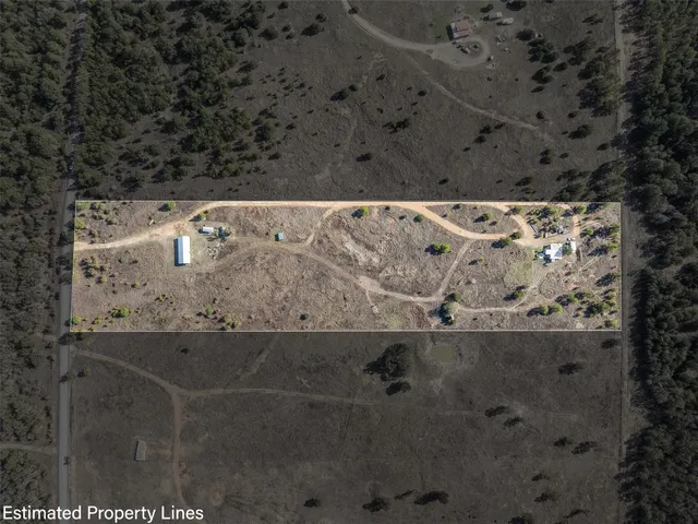 a view of a dry yard