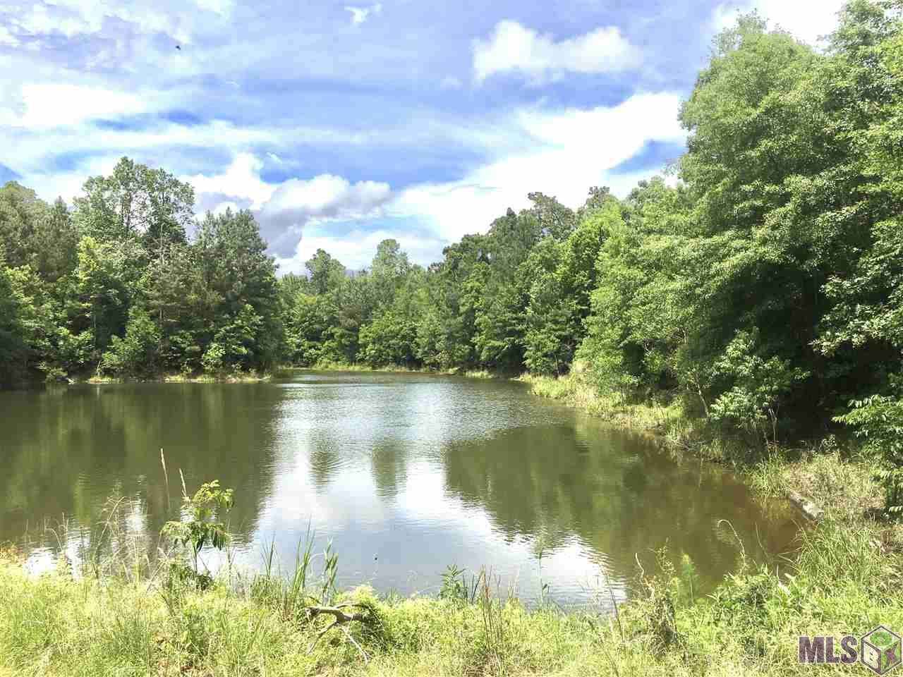 Tbd Trask Road Centreville, MS 39631 - Photo 1 of 37 Gallery Image 1