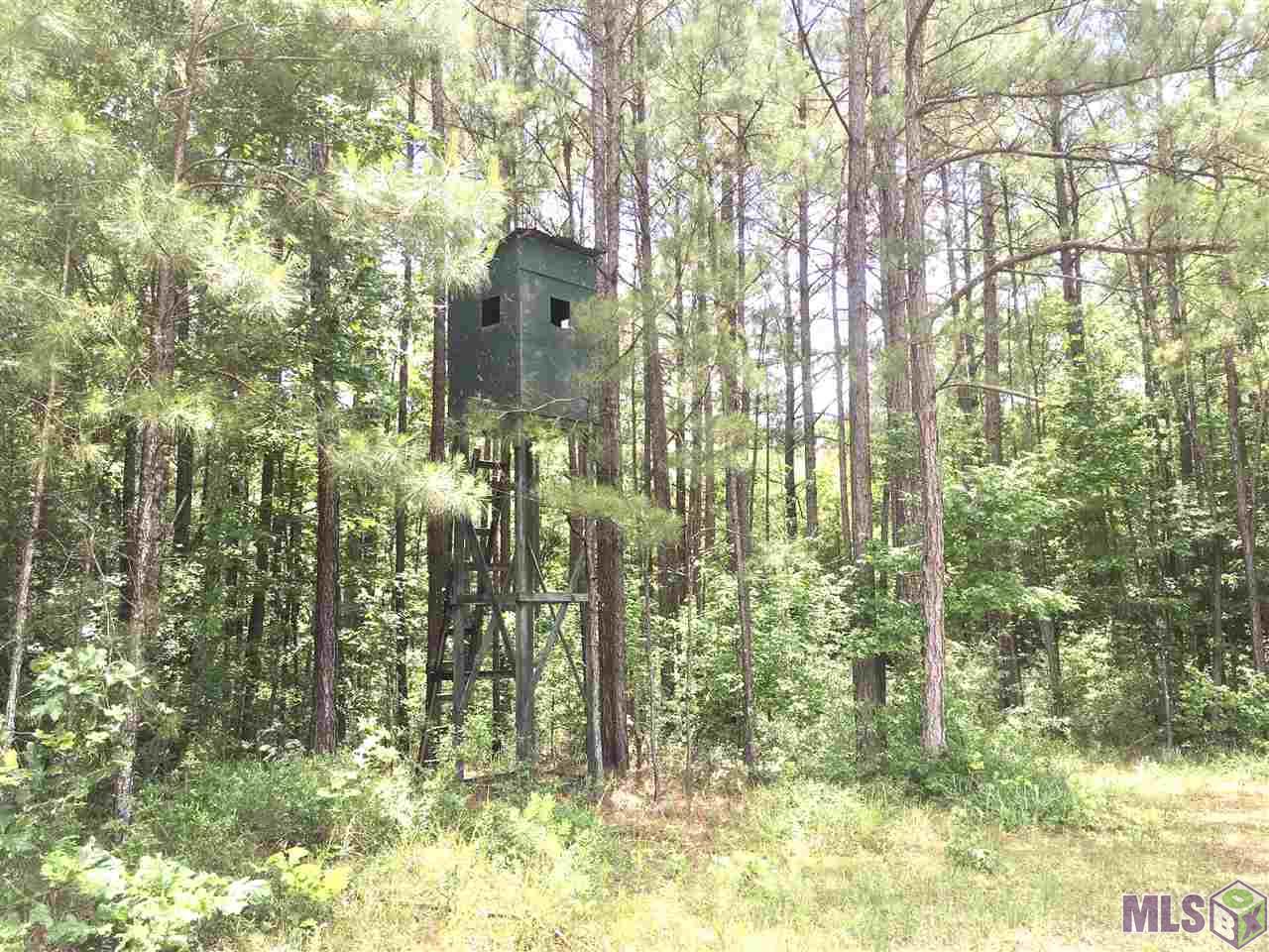 Tbd Trask Road Centreville, MS 39631 - Photo 11 of 37 Gallery Image 11