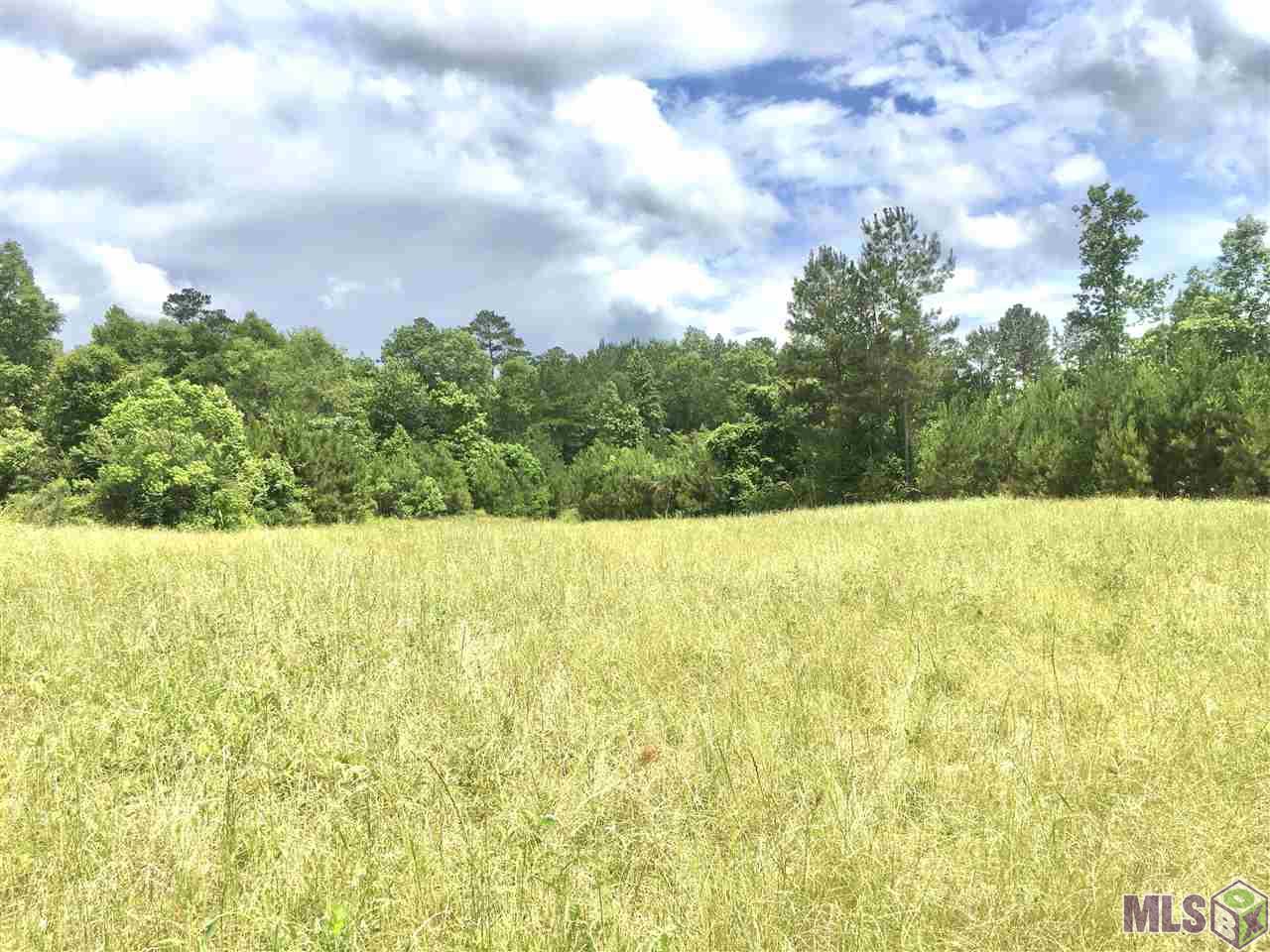 Tbd Trask Road Centreville, MS 39631 - Photo 25 of 37 Gallery Image 25