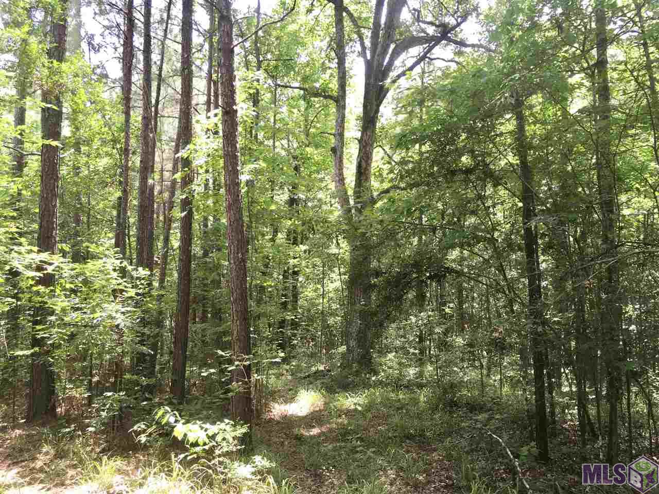 Tbd Trask Road Centreville, MS 39631 - Photo 28 of 37 Gallery Image 28