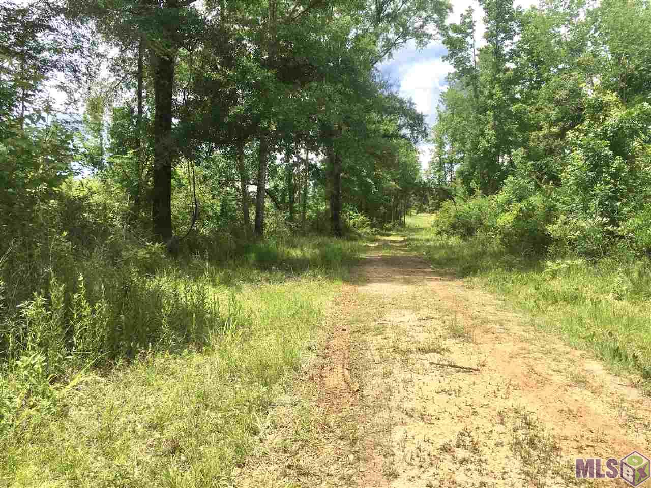 Tbd Trask Road Centreville, MS 39631 - Photo 3 of 37 Gallery Image 3