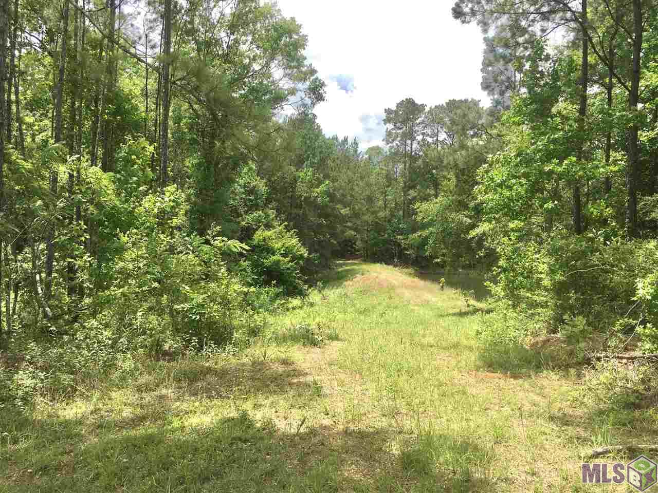 Tbd Trask Road Centreville, MS 39631 - Photo 6 of 37 Gallery Image 6