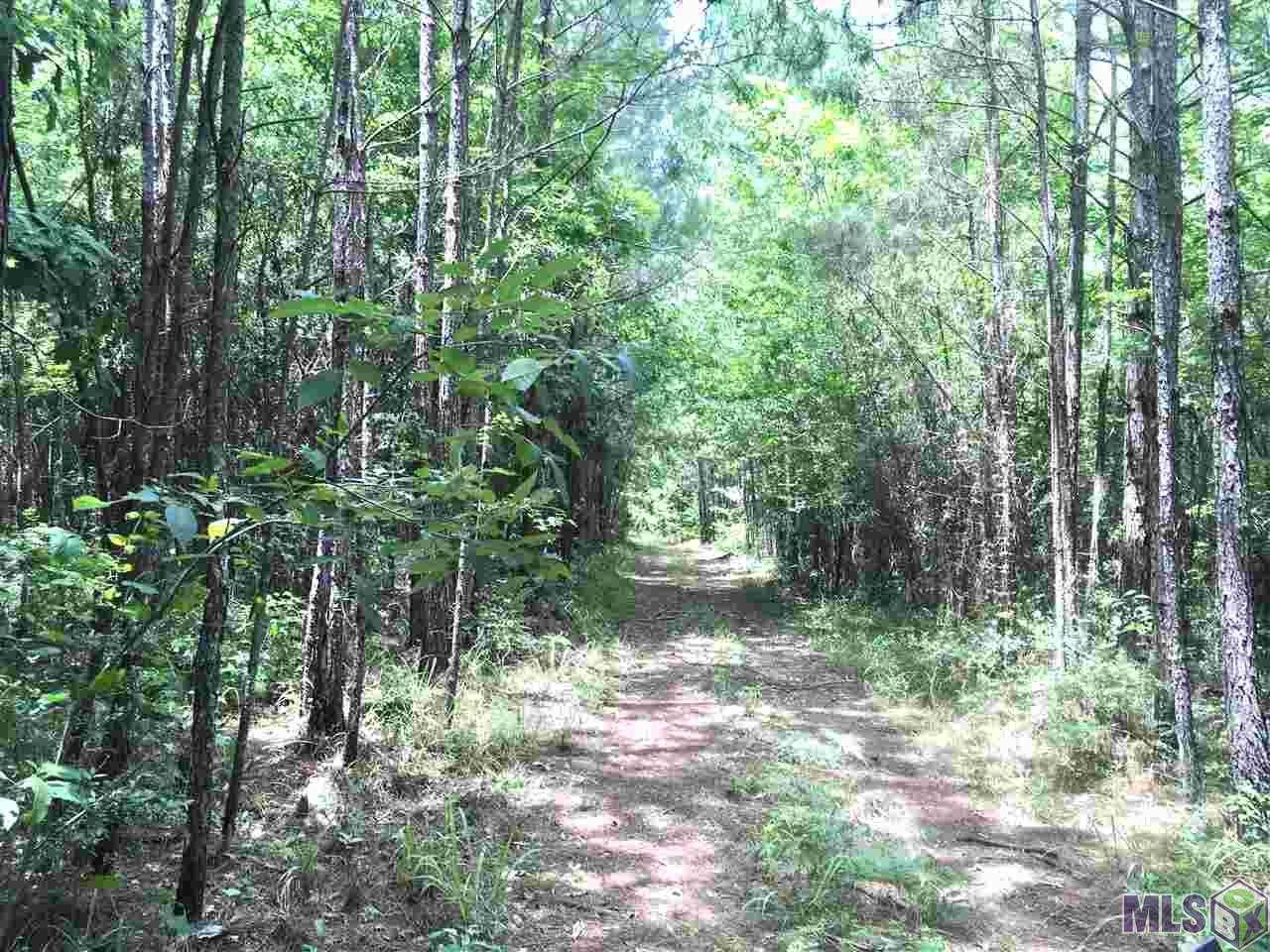 Tbd Trask Road Centreville, MS 39631 - Photo 9 of 37 Gallery Image 9