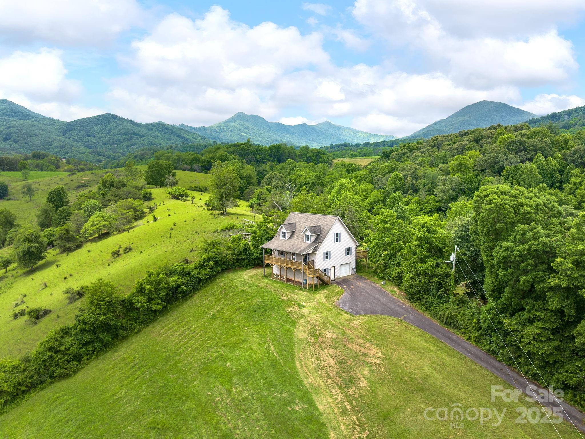 132 Rabbit Ham Road Leicester, NC 28748 - Photo 1 of 46 Gallery Image 1