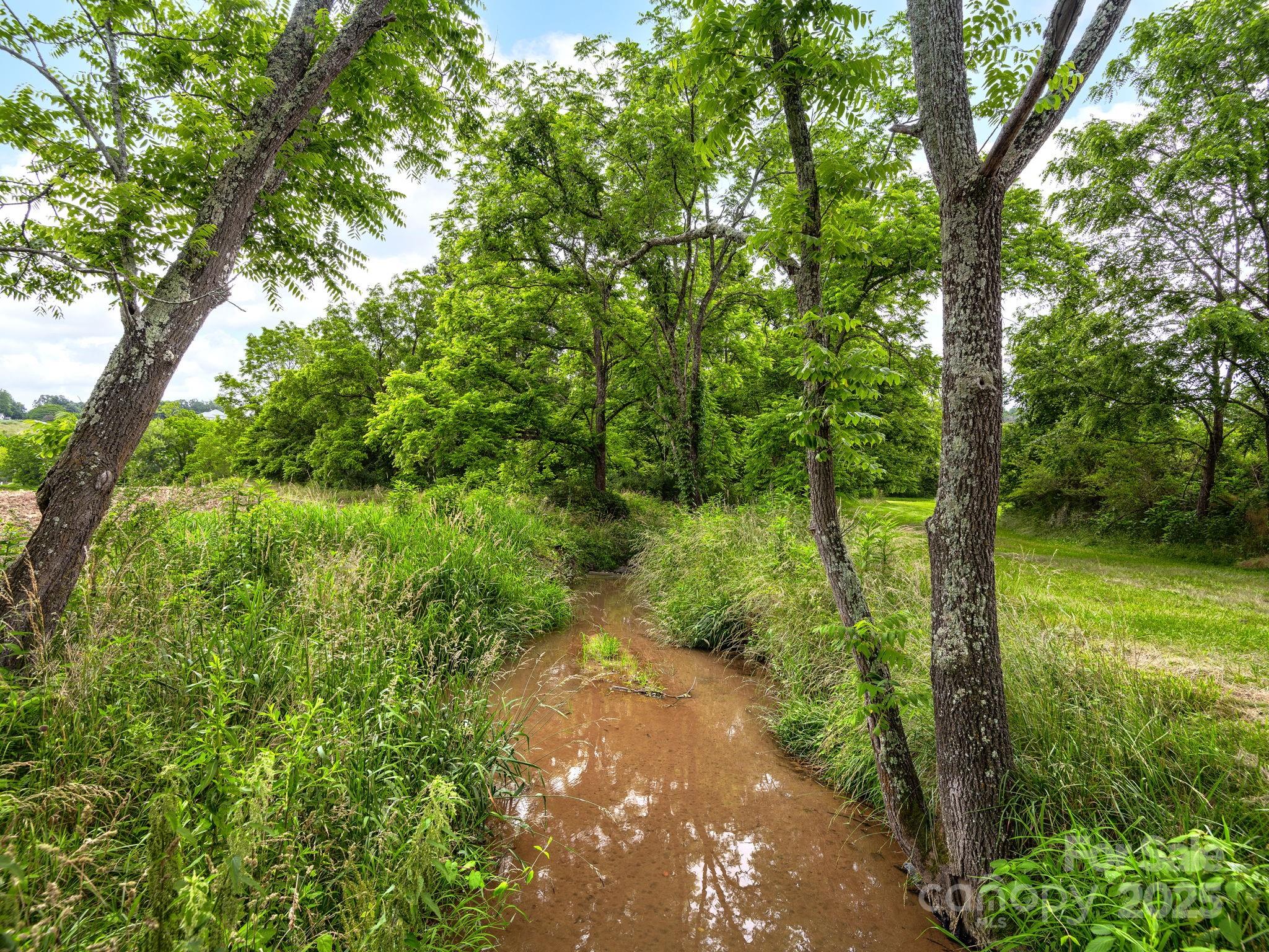 132 Rabbit Ham Road Leicester, NC 28748 - Photo 40 of 46 Gallery Image 40