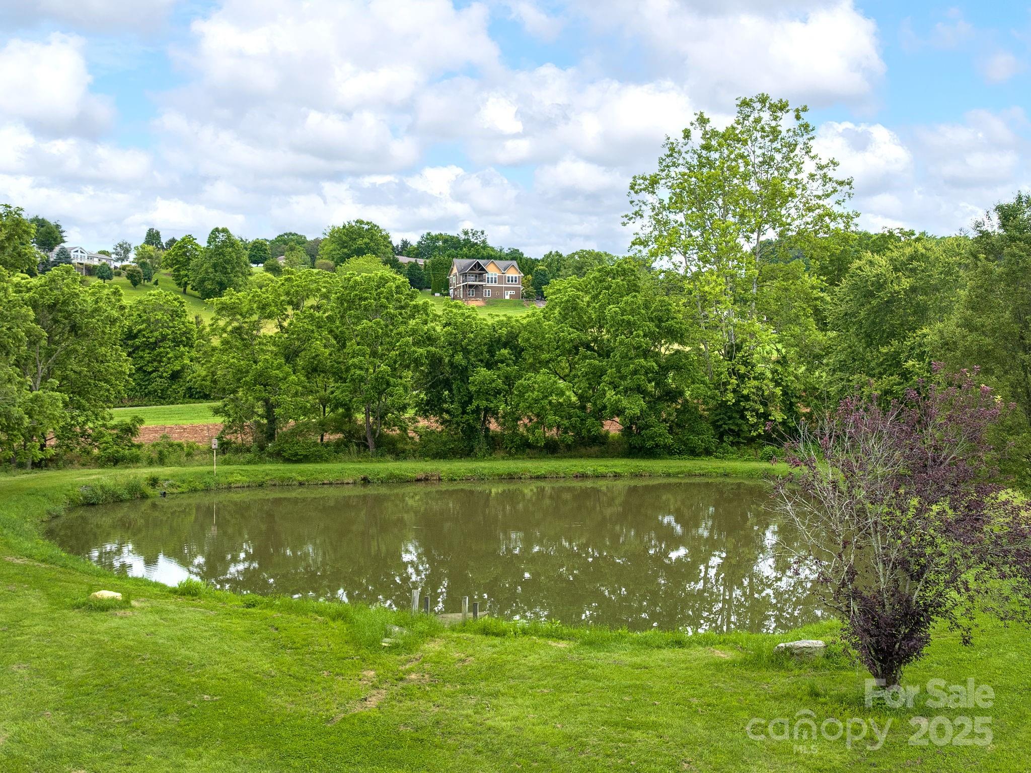 132 Rabbit Ham Road Leicester, NC 28748 - Photo 41 of 46 Gallery Image 41