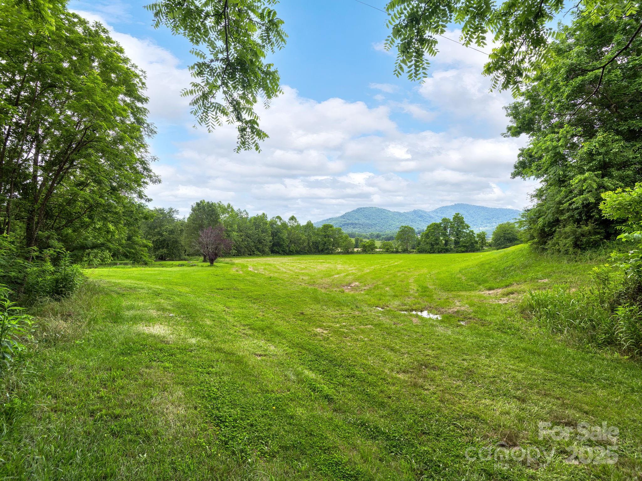 132 Rabbit Ham Road Leicester, NC 28748 - Photo 42 of 46 Gallery Image 42
