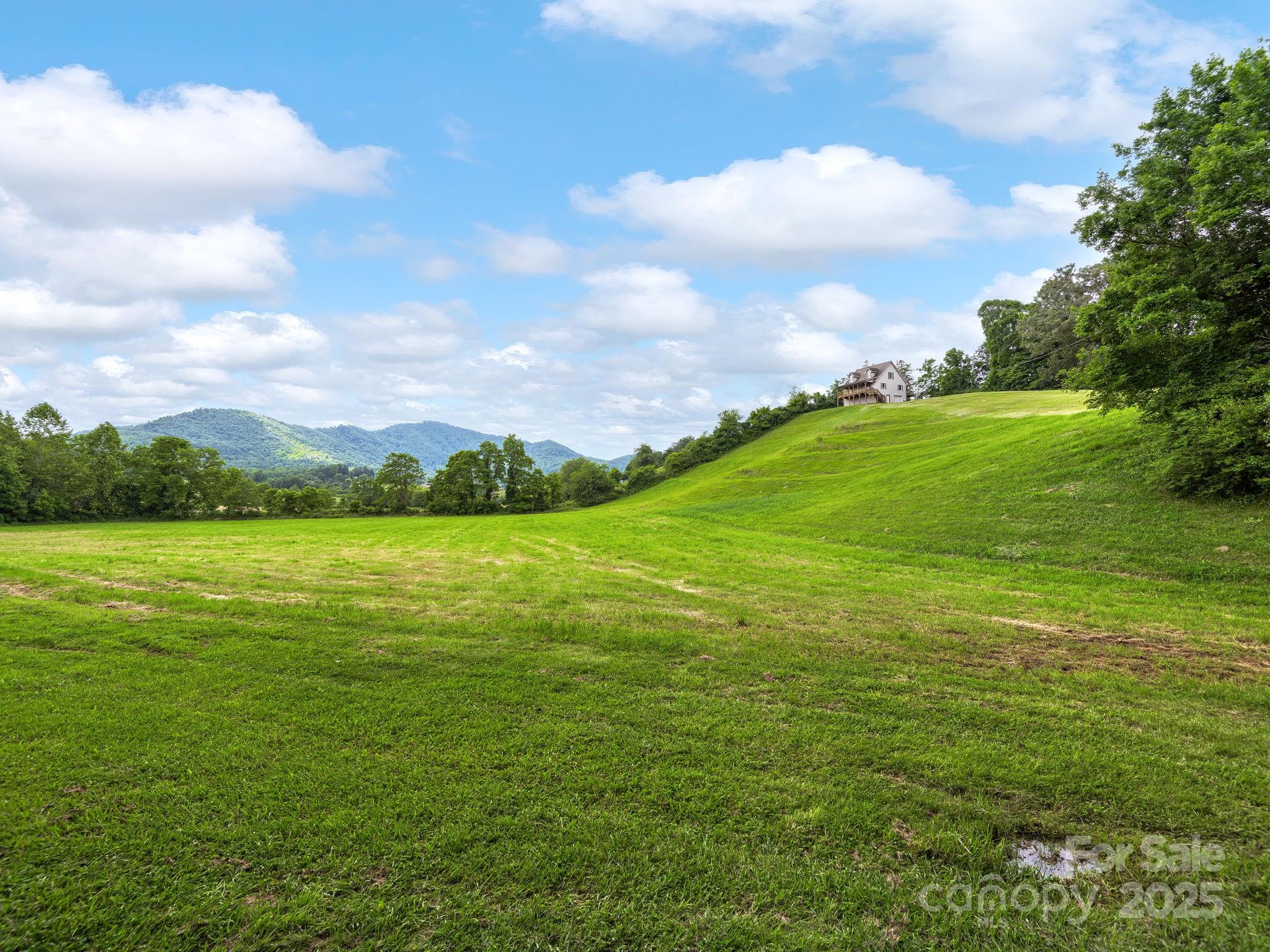 132 Rabbit Ham Road Leicester, NC 28748 - Photo 43 of 46 Gallery Image 43