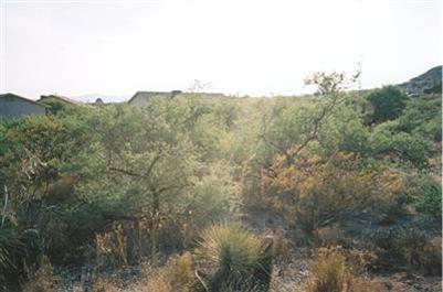 5830 North Steven Court Rimrock, AZ 86335 - Photo 4 of 5 a view of a mountain range with trees in the background
