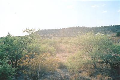 5830 North Steven Court Rimrock, AZ 86335 - Photo 5 of 5 a view of a dry yard with mountains in the background