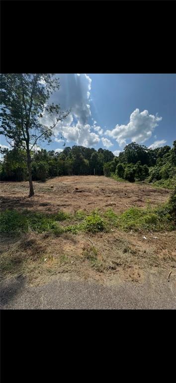 10-acres 10-acres Chess Gerald Road Franklinton, LA 70438 - Photo 1 of 19