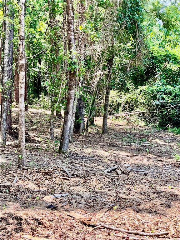 10-acres 10-acres Chess Gerald Road Franklinton, LA 70438 - Photo 11 of 19