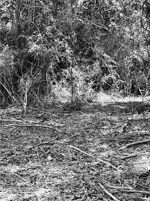 10-acres 10-acres Chess Gerald Road Franklinton, LA 70438 - Photo 12 of 19